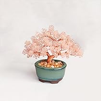 Amazon.co.jp: MIYUKI (ミユキ) ネジッテBONSAIキット